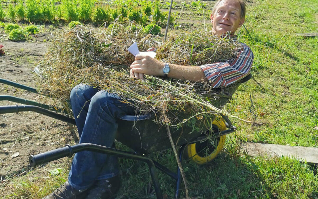 Word oogstdeelnemer in het nieuwe seizoen